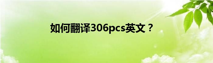 如何翻译306pcs英文？