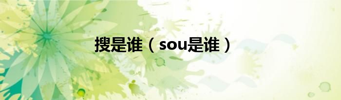 搜是谁（sou是谁）