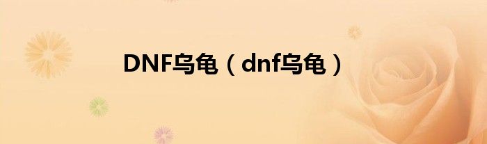 DNF乌龟（dnf乌龟）