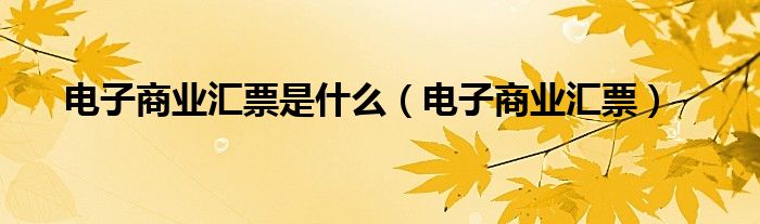 电子商业汇票是什么（电子商业汇票）