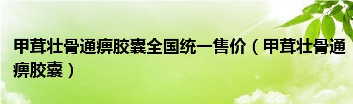 甲茸壮骨通痹胶囊全国统一售价（甲茸壮骨通痹胶囊）