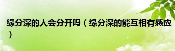 缘分深的人会分开吗（缘分深的能互相有感应）