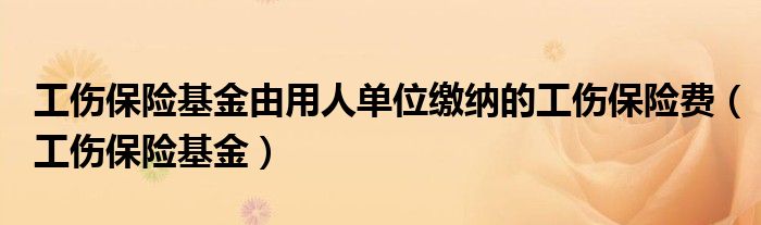 工伤保险基金由用人单位缴纳的工伤保险费（工伤保险基金）