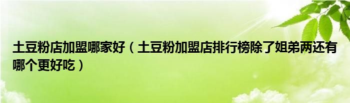 土豆粉店加盟哪家好（土豆粉加盟店排行榜除了姐弟两还有哪个更好吃）