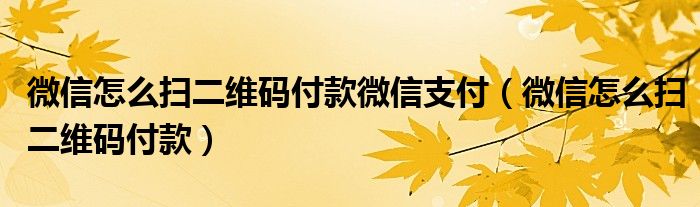 微信怎么扫二维码付款微信支付（微信怎么扫二维码付款）