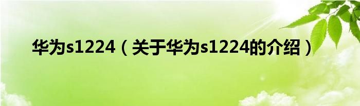 华为s1224（关于华为s1224的介绍）