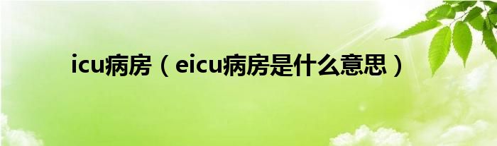 icu病房（eicu病房是什么意思）