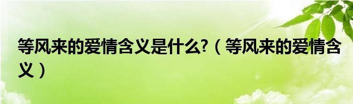 等风来的爱情含义是什么?（等风来的爱情含义）