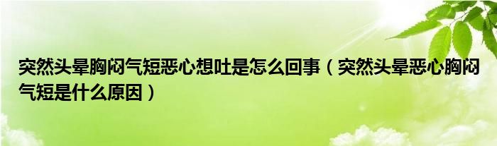 突然头晕胸闷气短恶心想吐是怎么回事（突然头晕恶心胸闷气短是什么原因）