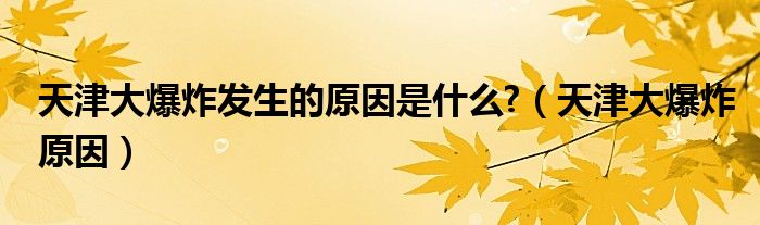 天津大爆炸发生的原因是什么?（天津大爆炸原因）