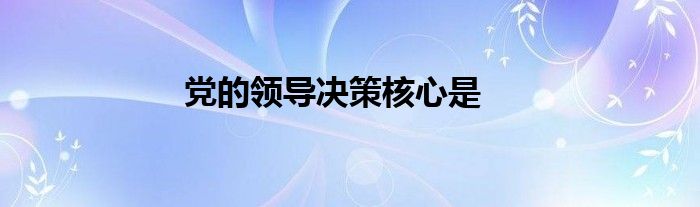 党的领导决策核心是