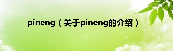 pineng（关于pineng的介绍）