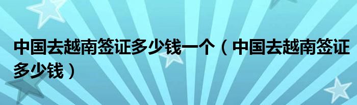 中国去越南签证多少钱一个（中国去越南签证多少钱）