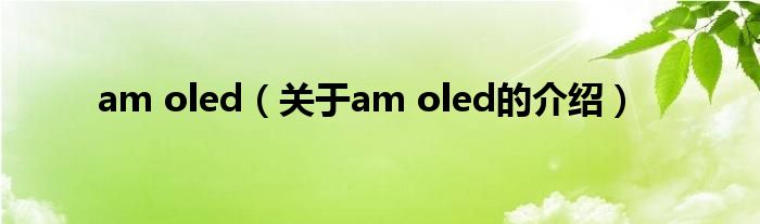 am oled（关于am oled的介绍）