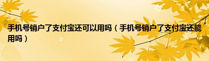 手机号销户了支付宝还可以用吗（手机号销户了支付宝还能用吗）