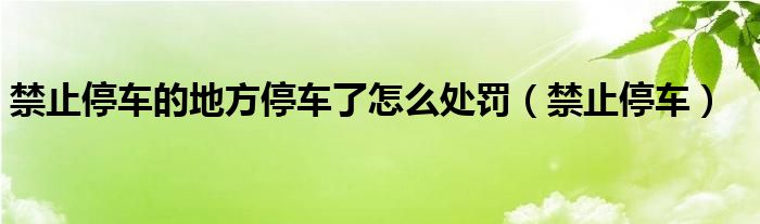 禁止停车的地方停车了怎么处罚（禁止停车）