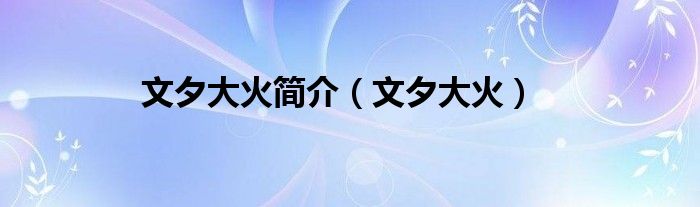 文夕大火简介（文夕大火）