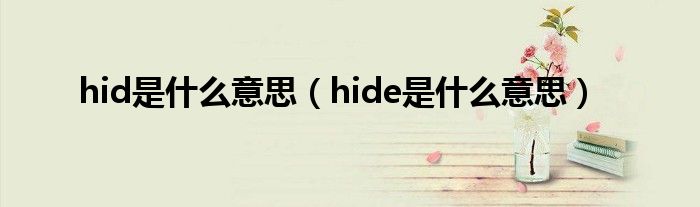 hid是什么意思（hide是什么意思）