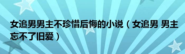 女追男男主不珍惜后悔的小说（女追男 男主忘不了旧爱）