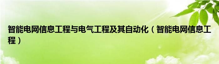 智能电网信息工程与电气工程及其自动化（智能电网信息工程）