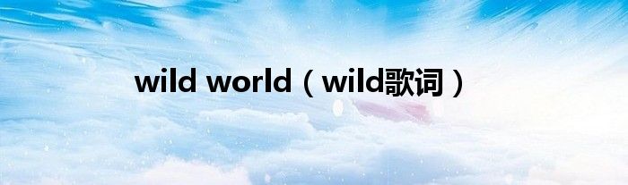 wild world（wild歌词）