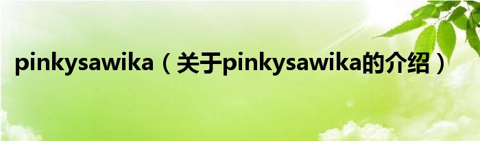 pinkysawika（关于pinkysawika的介绍）