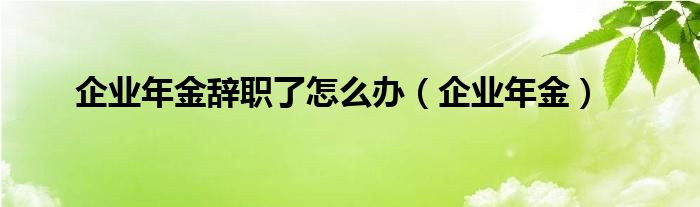 企业年金辞职了怎么办（企业年金）