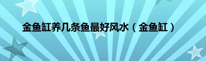 金鱼缸养几条鱼最好风水（金鱼缸）