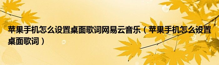 苹果手机怎么设置桌面歌词网易云音乐（苹果手机怎么设置桌面歌词）