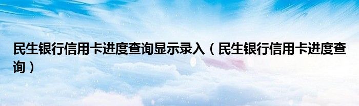 民生银行信用卡进度查询显示录入（民生银行信用卡进度查询）