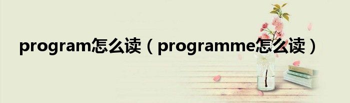 program怎么读（programme怎么读）