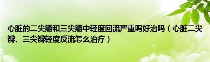 心脏的二尖瓣和三尖瓣中轻度回流严重吗好治吗（心脏二尖瓣、三尖瓣轻度反流怎么治疗）