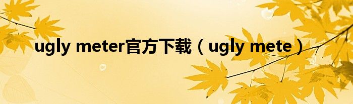 ugly meter官方下载（ugly mete）