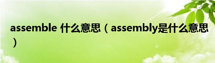 assemble 什么意思（assembly是什么意思）