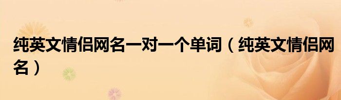 纯英文情侣网名一对一个单词（纯英文情侣网名）