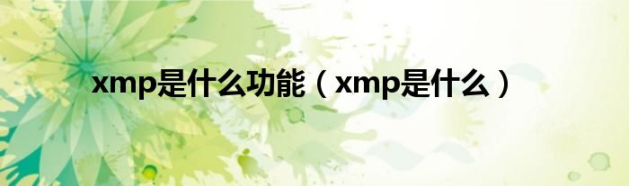 xmp是什么功能（xmp是什么）