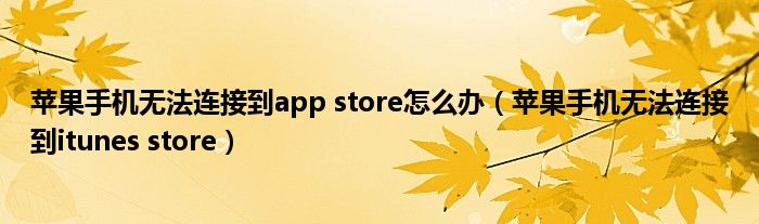 苹果手机无法连接到app store怎么办（苹果手机无法连接到itunes store）