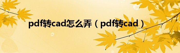 pdf转cad怎么弄（pdf转cad）