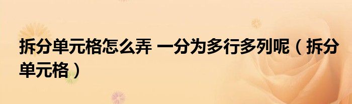 拆分单元格怎么弄 一分为多行多列呢（拆分单元格）