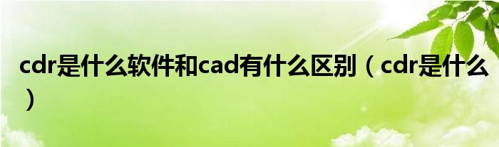 cdr是什么软件和cad有什么区别（cdr是什么）