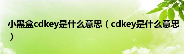 小黑盒cdkey是什么意思（cdkey是什么意思）