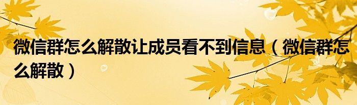 微信群怎么解散让成员看不到信息（微信群怎么解散）