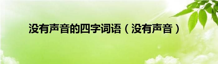 没有声音的四字词语（没有声音）