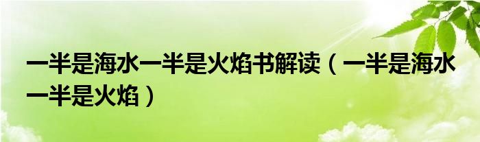 一半是海水一半是火焰书解读（一半是海水 一半是火焰）