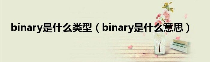 binary是什么类型（binary是什么意思）