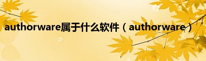 authorware属于什么软件（authorware）