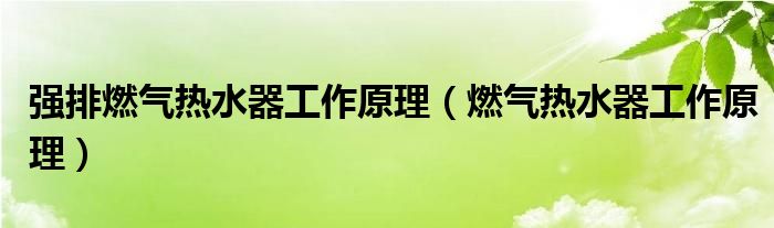 强排燃气热水器工作原理（燃气热水器工作原理）