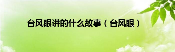 台风眼讲的什么故事（台风眼）