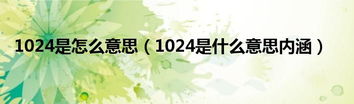 1024是怎么意思（1024是什么意思内涵）