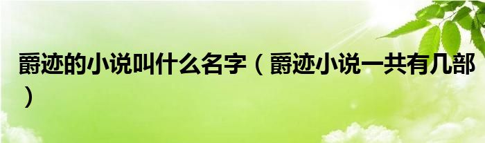 爵迹的小说叫什么名字（爵迹小说一共有几部）